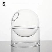 Mini Round Flower Vase Hydroponic Container Micro Landscape Glass Ecological Bottle Borosilicate Glass Bottle Home Decoration